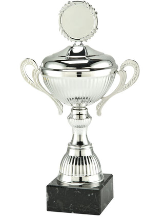 50141 Trofeo Henkel, plata, 25,5 cm - 39 cm